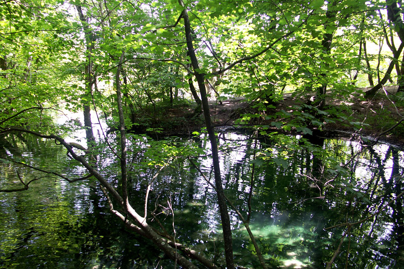 Obraz 041
